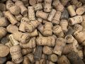 20250405-Gonzage-Fiera-47