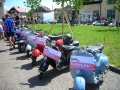 20080524_Vespaweihe_Obertrum_10